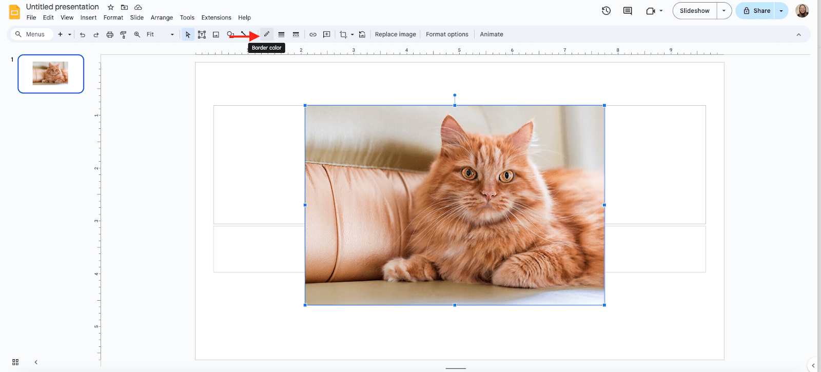 Apply Borders and Crop Your Image
