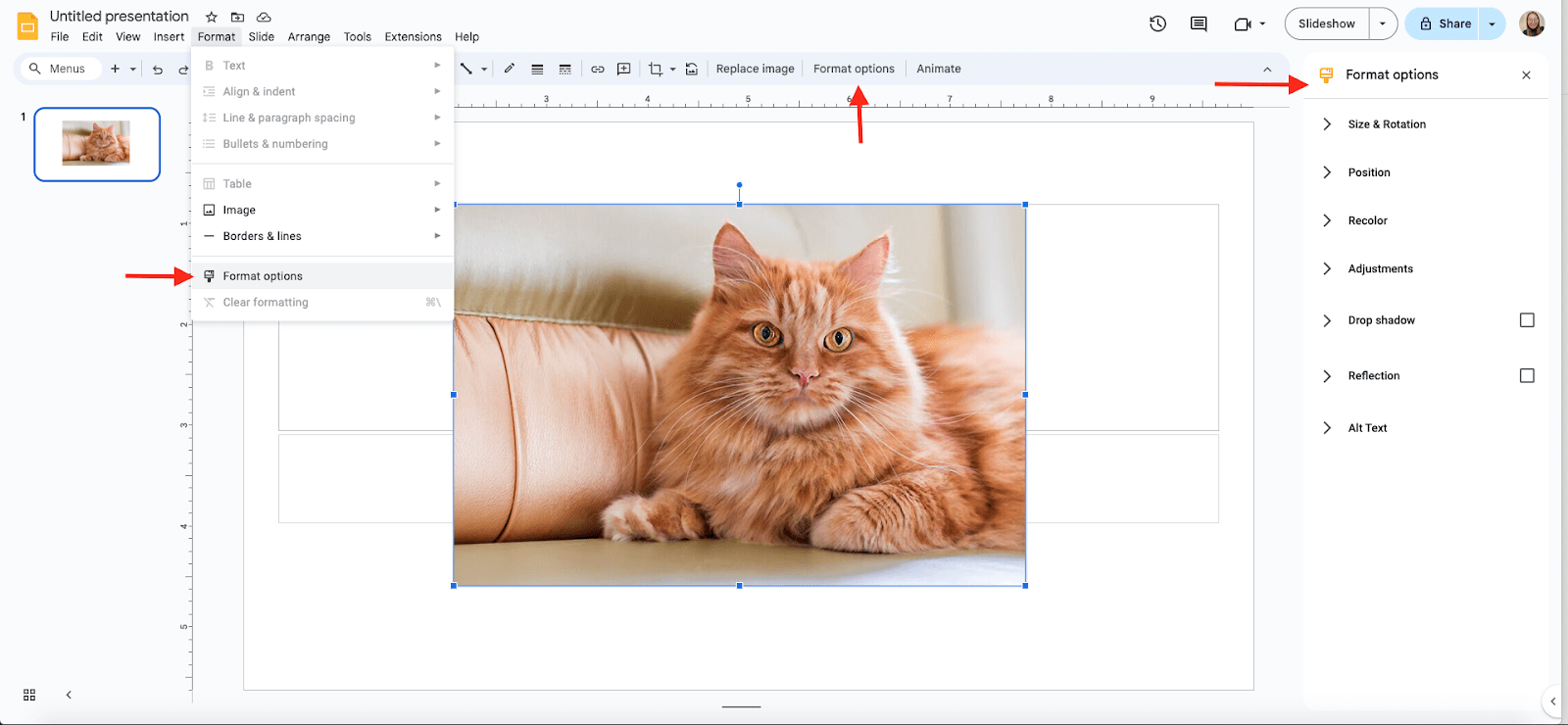 Apply Formatting Options