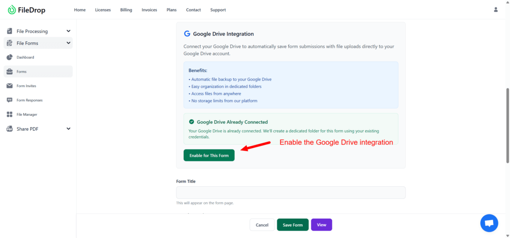 Form Edit FileDrop Google Drive Integration